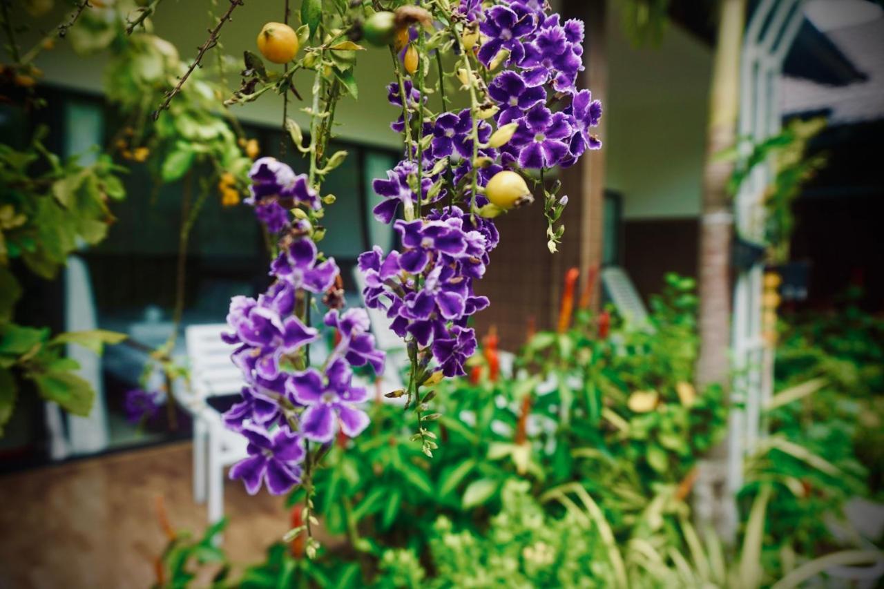 Canary Bungalow دونغ دونغ المظهر الخارجي الصورة