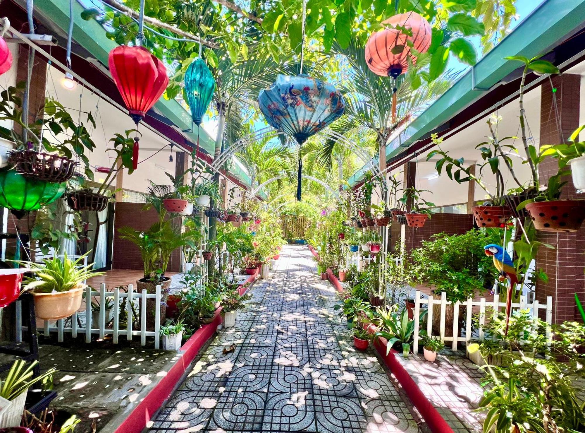 Canary Bungalow دونغ دونغ المظهر الخارجي الصورة