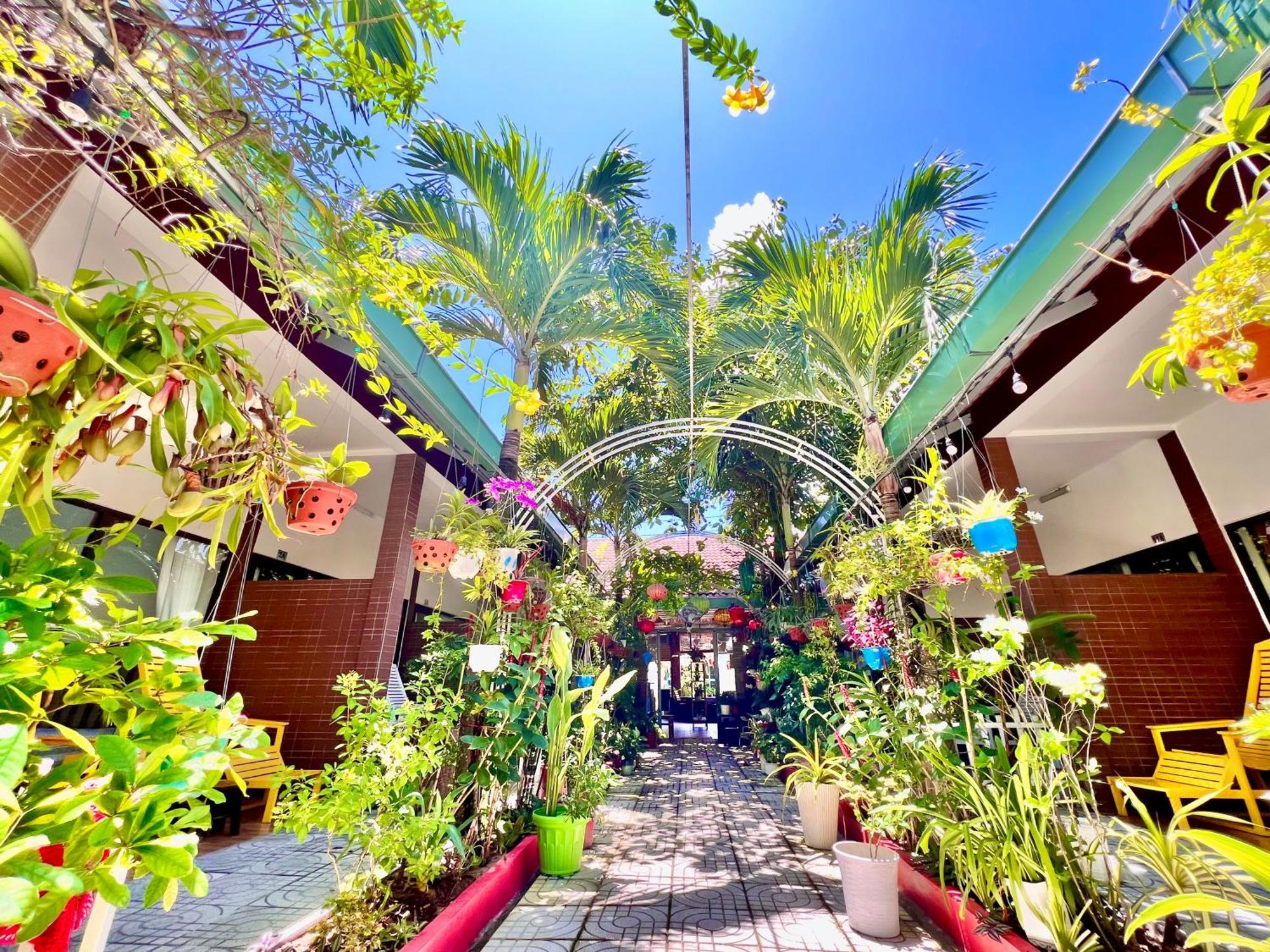 Canary Bungalow دونغ دونغ المظهر الخارجي الصورة
