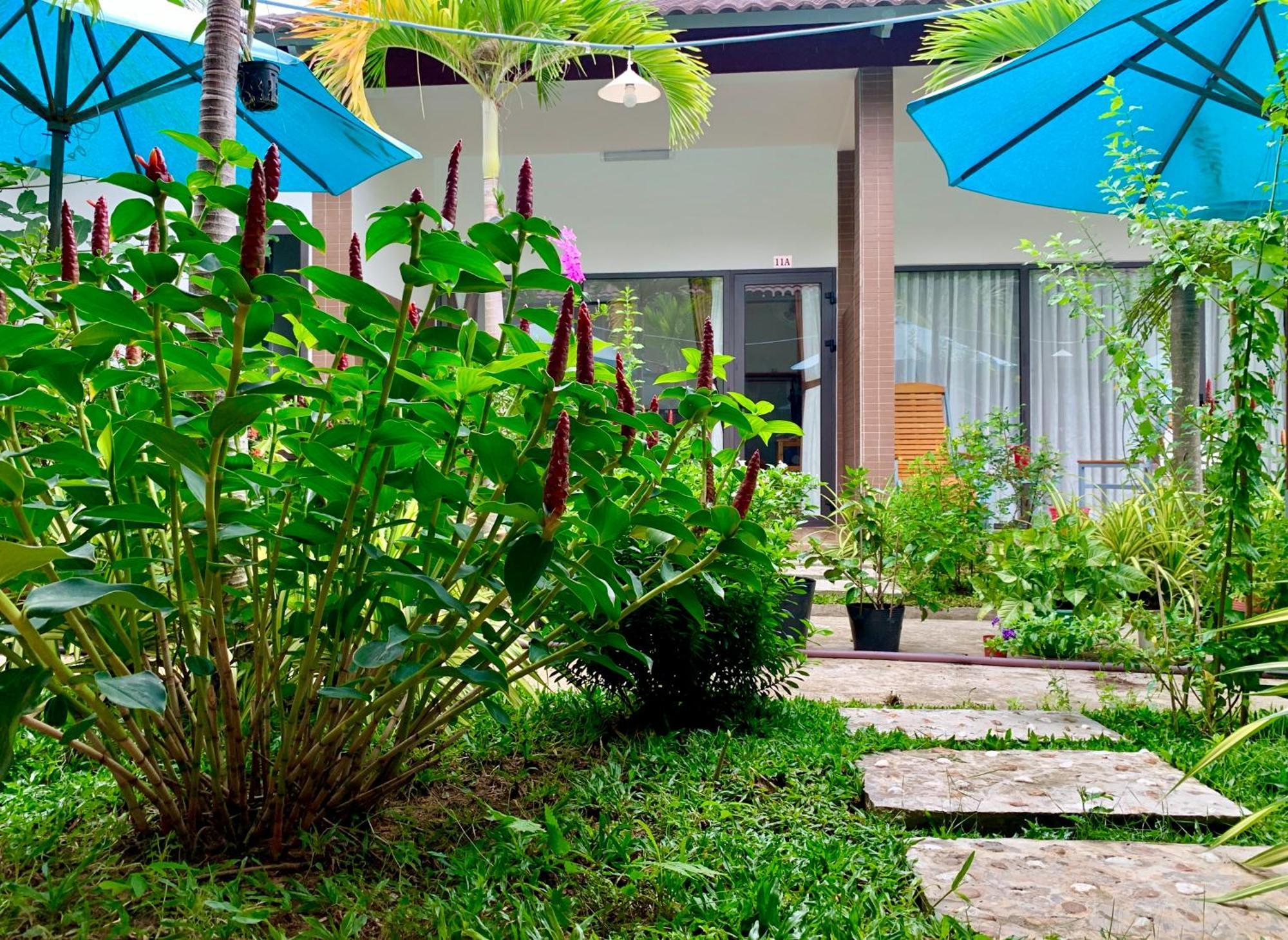 Canary Bungalow دونغ دونغ المظهر الخارجي الصورة